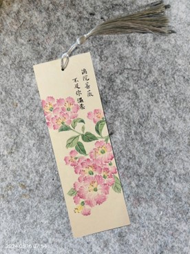 刘雪儿三等奖