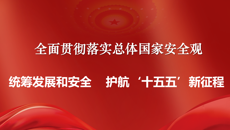 我校开展2026年全民国家安全教育日系列活动