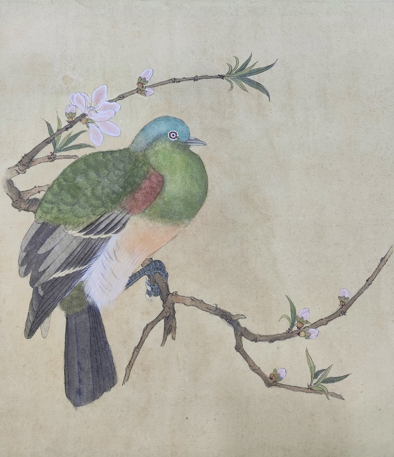 刘苏莹   指导教师：黄玉兰